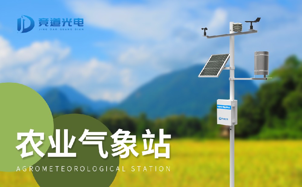 ���С������վ