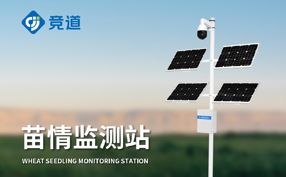 ֲ����������ǰ�����Щ����