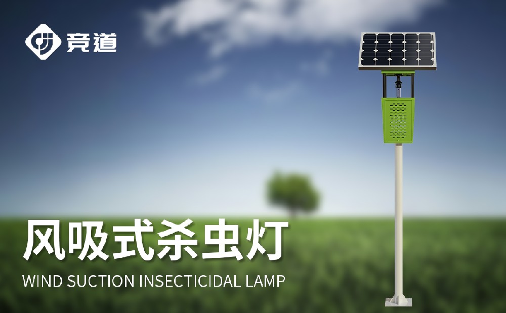 ����ʽ̫����ɱ������������Ƽ�