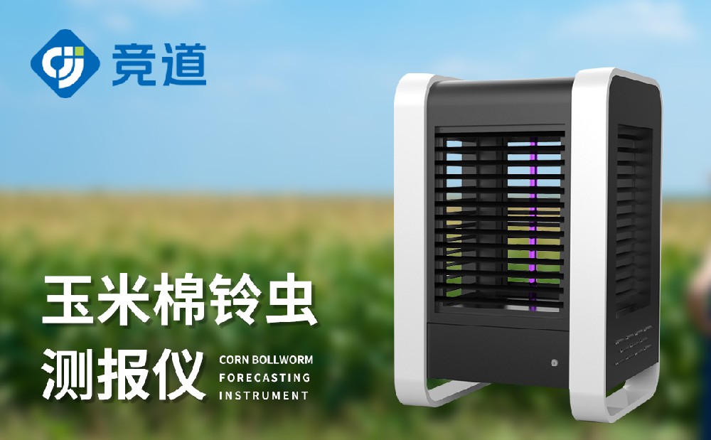 �����ⱨ�ǵ�������ʲô