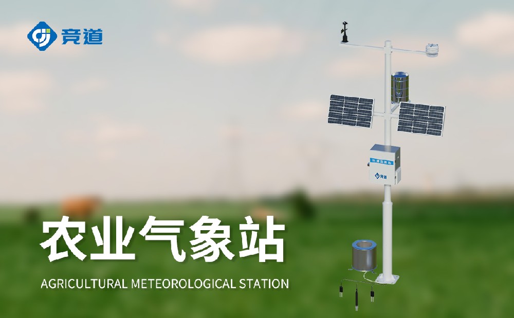 ũҵ������վ����ѡ�񡶷Ƿ����֡�com