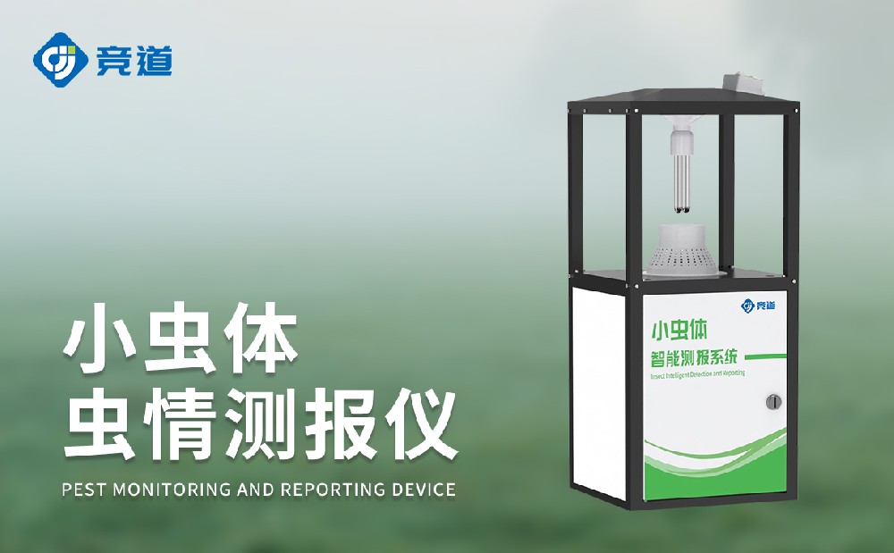 С�������ⱨ�Ǿ�׼����ϸС����������Ϣ