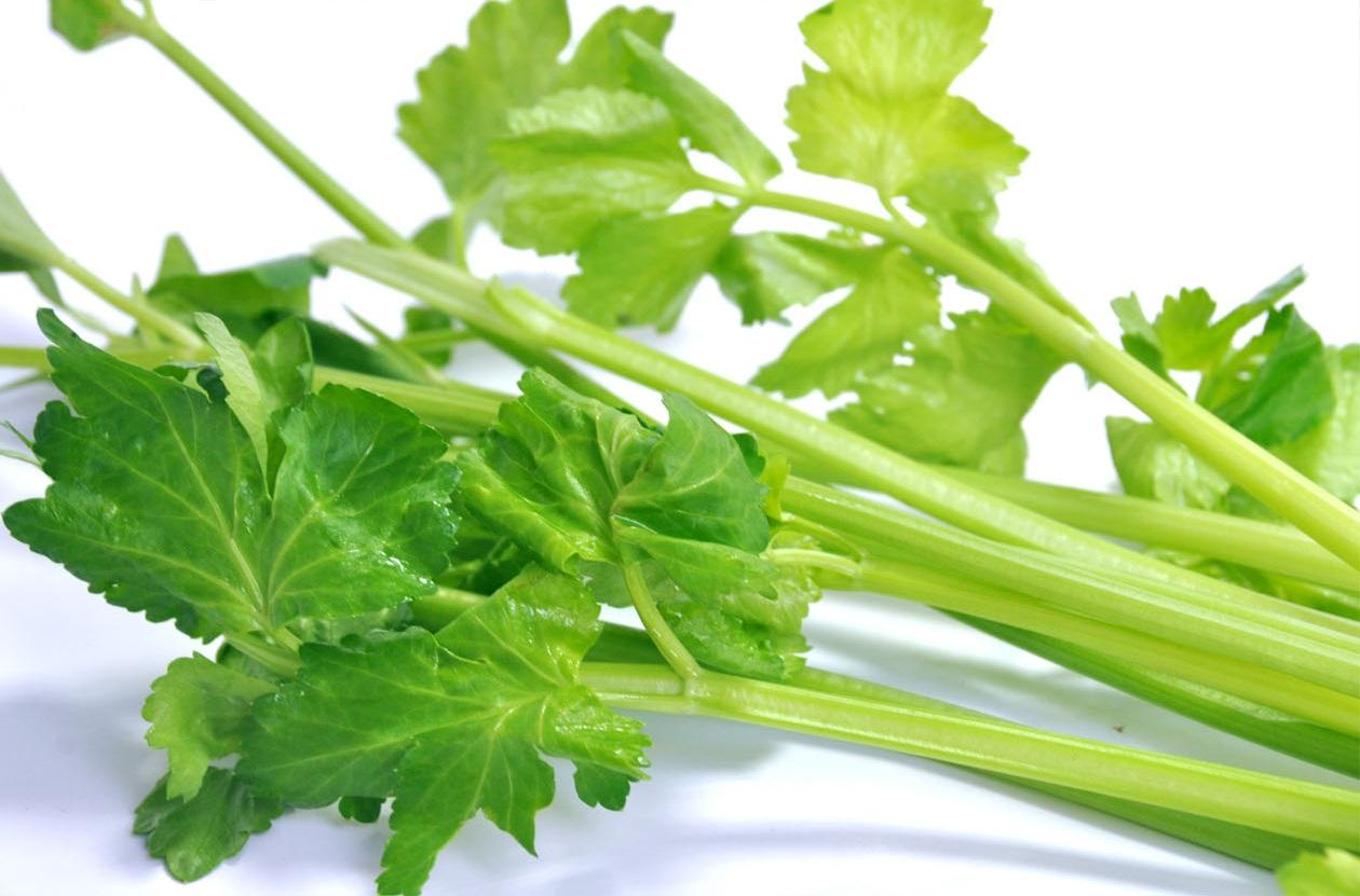 �߲��Ǹ�����������������Щ��λҲ���ã�