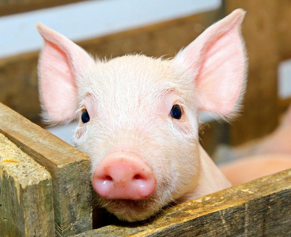 �����������������Щ�ͺţ�����������