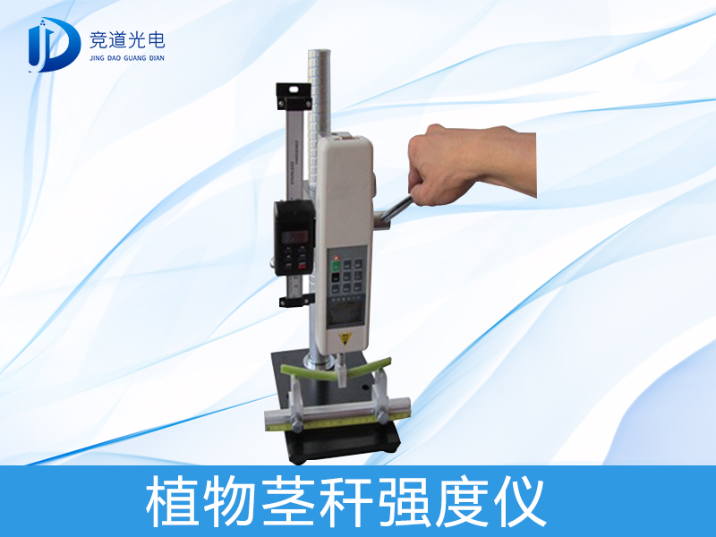 Ϊʲô�о�ֲ�ﾥ��ǿ�ȣ���������