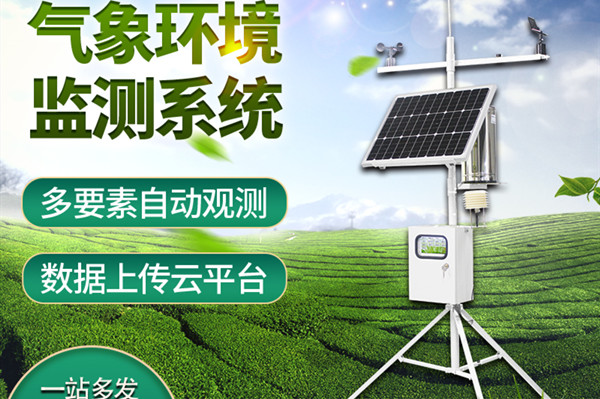 С�������Ӳ�վ����������Щ������������