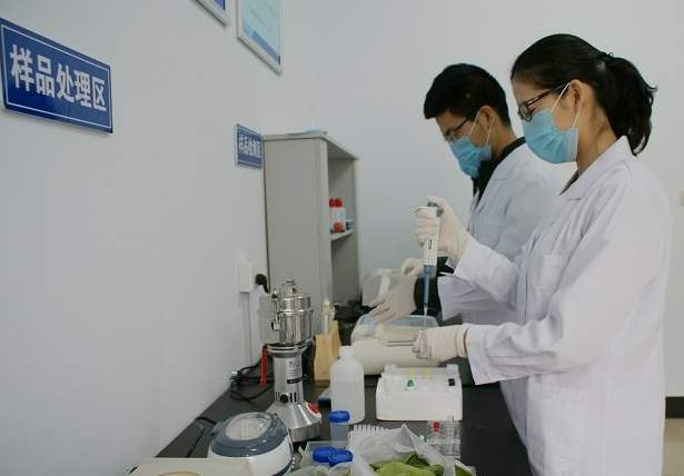 ʳ���徲�������Ҫ��Ч