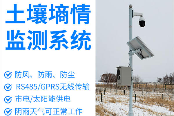  土壤墒情监测系统手艺参数