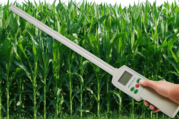 Ҷ���ָ��������