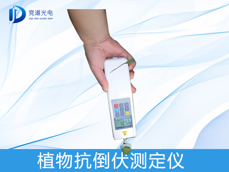 ֲε¹·ü ֲε¹·ü