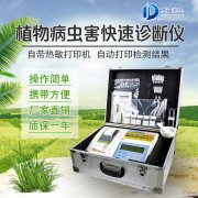 ����޻�������ʲô��������������