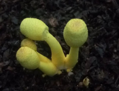 ���Ӳ����������˾Ӷ��Ὠ��