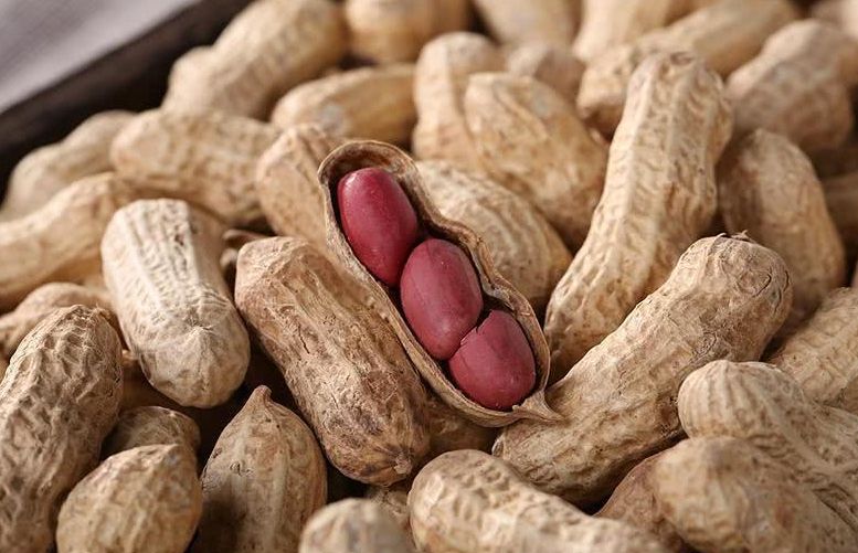 »ÆÇúÃ¹ËØ »ÆÇúÃ¹ËØ