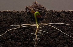 ΪʲôҪ���������л��ʼ�⣿������������