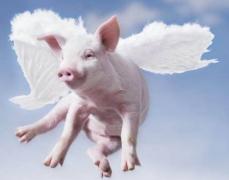 ���������׻������÷��������ļ��������������������